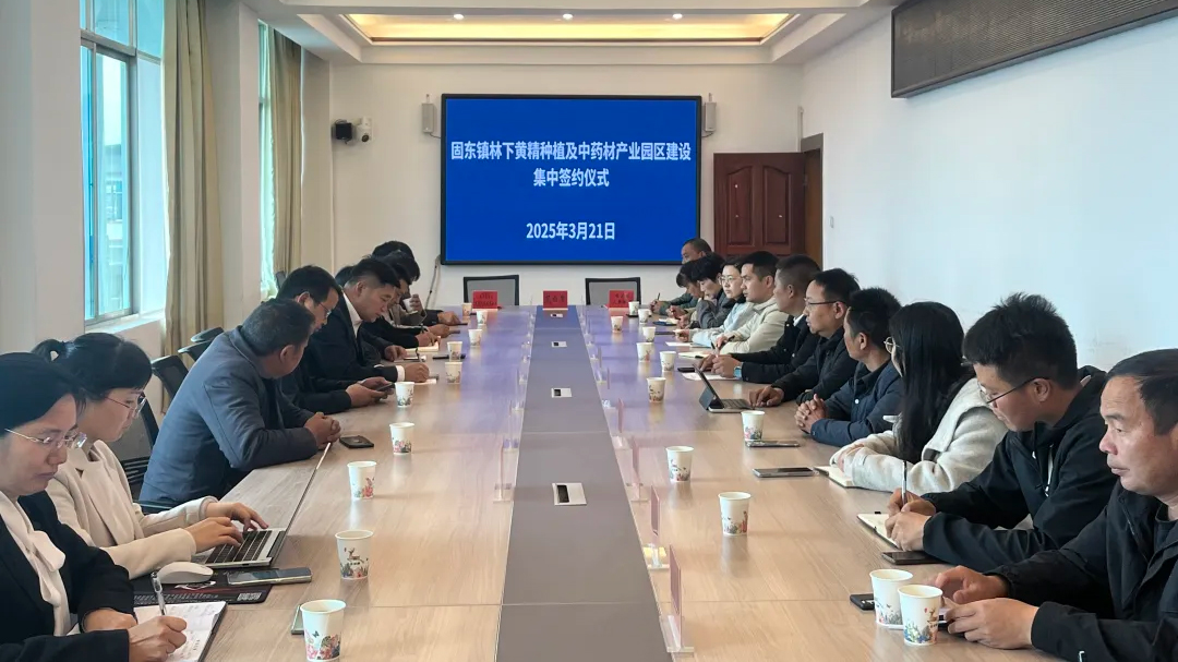 政企攜手繪藍(lán)圖 林下經(jīng)濟(jì)助振興